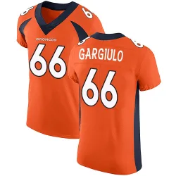 Men's Nick Gargiulo Denver Broncos No.66 Elite Team Color Vapor Untouchable Jersey - Orange
