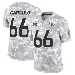 Men's Nick Gargiulo Denver Broncos No.66 Limited 2024 Salute to Service Jersey - Arctic Camo