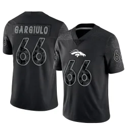 Men's Nick Gargiulo Denver Broncos No.66 Limited Reflective Jersey - Black