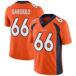 Men's Nick Gargiulo Denver Broncos No.66 Limited Team Color Vapor Untouchable Jersey - Orange